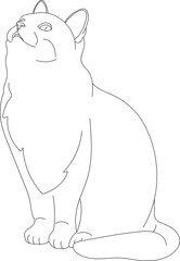 illustration design outline of the cat