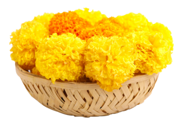 Marigold Flower for dasara Festival, Indian Festival flower decoration.