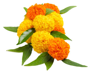 Happy Dussehra greeting card , green leaf and marigold flower.