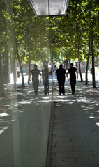 Glass wall reflections of two men walking under the trees on a city street sidewalk. Madrid , 2022