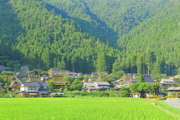 Hill station, Natural landscape, Dark green