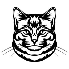 Abstract portrait of a cat black contour illustration