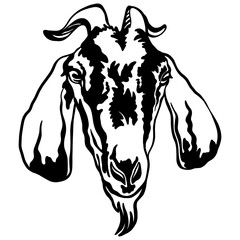 Abstract portrait of a goat black contour illustration