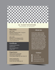 Web developer and web designer resume, CV design template, and profile design for a web developer