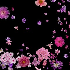 floral abstract with black background