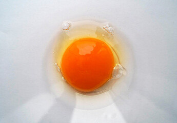 egg yolk in a bowl