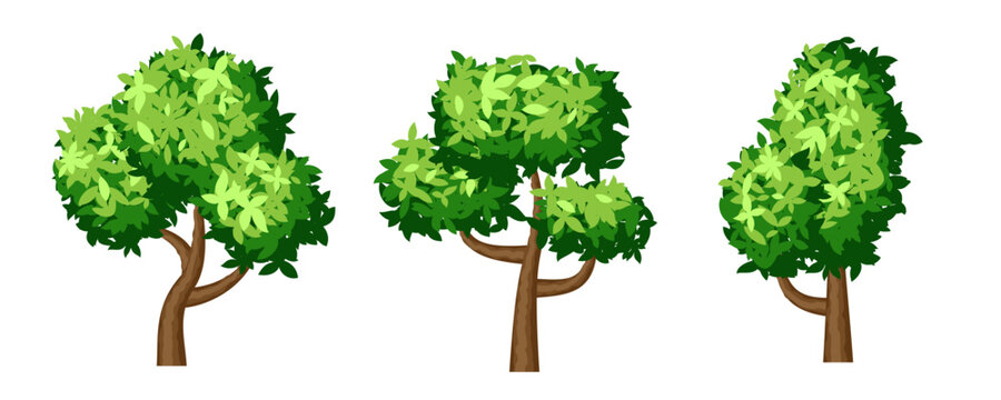Trees collection. Vector foliage design elements.