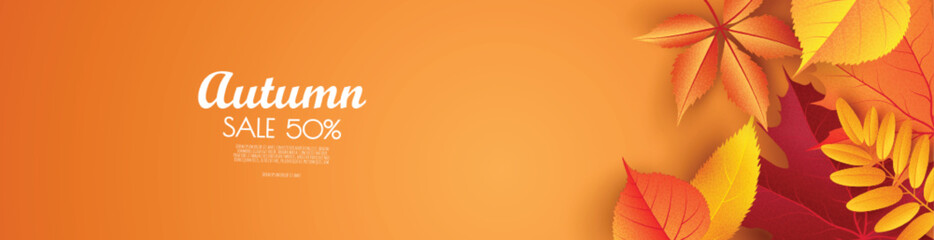 Autumn sale background, banner, poster or flyer. Vector illustration with colorful leaves. Template for banner, web poster, flyer, greeting card.