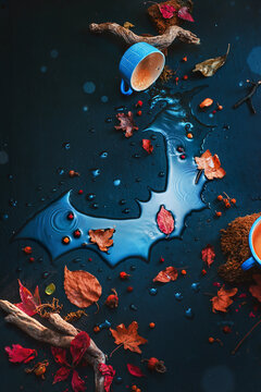 Halloween flatlay, bat silhouette in raindrops with autumn leaves, creative still life