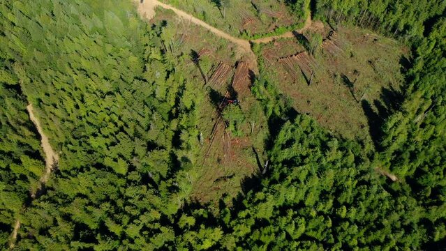 Clearcut of redwood trees with machinery Drone aerial pull back