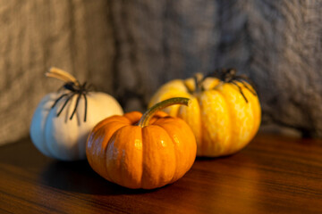 Three mini pumpkins with spiders. Halloween concept 