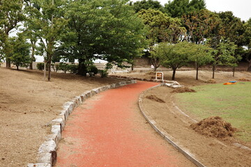 公園の中の散歩コース
