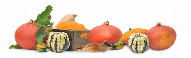 group of gourd arranged in panoramic view on white background