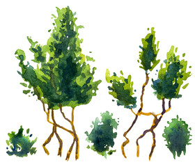 A series of green lush bushes. Isolated watercolor drawing of plants on a white background.