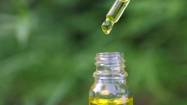 Slow motion of macro close up of droplet dosing a biological, The hemp oil contain natural cbd extraction from organic hemp in the farm .