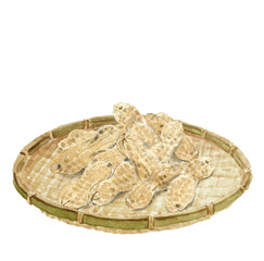 水彩で描いたザルに入った落花生のイラスト 白バック