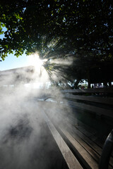 Steam coming out of the drain, broken hot water pipe in downtown Manhattan. Beautiful shaped sun...