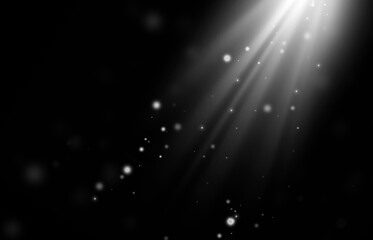 Fototapeta na wymiar flying snow in rays of light on a black background