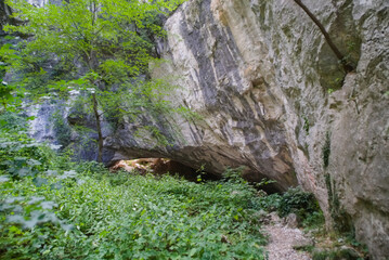 Fototapeta na wymiar Rocce lungo il sentiero per l'arco di Fondarca nelle Marche in Italia