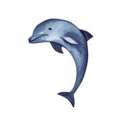 Watercolor illustration with an indigo dolphin on a transparent background. Underwater world.