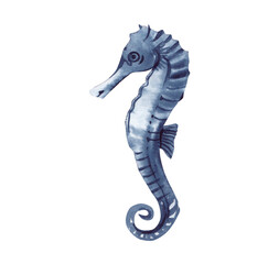 Watercolor illustration with an indigo seahorse on a transparent background. Underwater world.