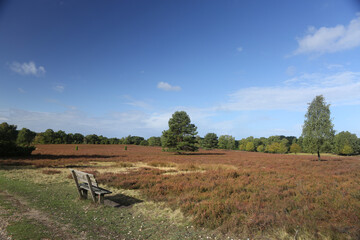 In der Lüneburger Heide, Gebiet um Wilsede