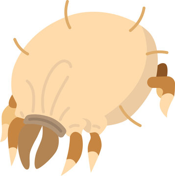dust icon