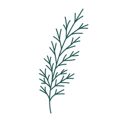 Hand drawn Christmas tree branch isolated on white background. Decorative doodle sketch illustration. Vector floral element.