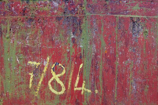 Crab's Claw on Brora Beach