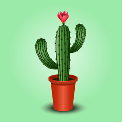 Isolated cactus with flower on pot. Desert thorny plant illustration.