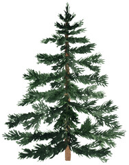 Watercolor Christmas tree illustration