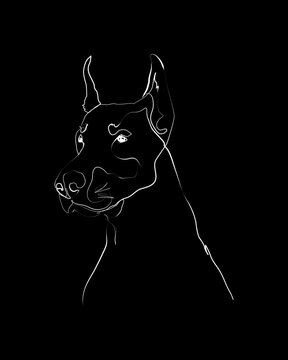 Doberman line art portrait, Digital drawing, Personalized Dog Name, Customized Pet Memorial Gifts, Black background.