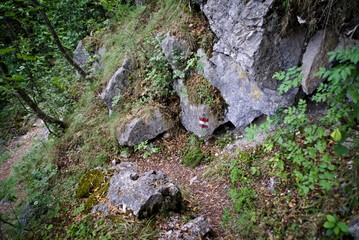 Sentiero di montagna nelle Marche