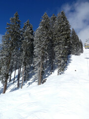 Skifahren in Saalbach Hinterglemm Leogang