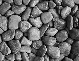 lump of rock black and white portrait