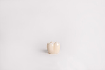 Clean tooth isolated on white background. Tooth concept, close-up.