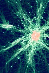 Amazing organic forms. Microscopy. Underwater organisms. Fluorescent. 