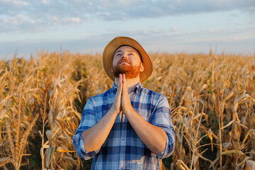 Farmer in his corn field he praying for a good crop