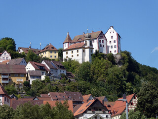 Fototapeta na wymiar Burg Egloffstein