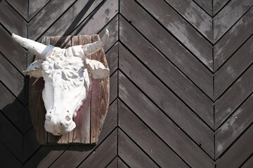 White bull head with horns on wooden background