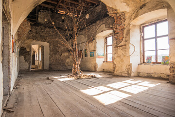 SEPTEMBER 9, 2022 Internal premises. Tree in the middle of an old castle room. Chinadiyev Castle (Saint Miklos) is an architectural monument of the 14-19th centuries, Chinadiyovo village,Ukraine.