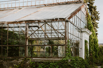 
Old greenhouse for growing plants. old greenhouse in the park. Photo of a retro greenhouse