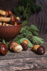 Pile of Imleria Badia or Boletus badius mushrooms commonly known as the bay bolete on vintage wooden background..
