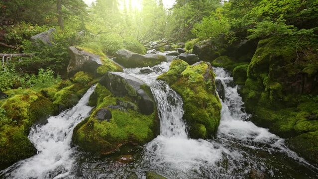 Mountain river in the forest with cascading waterfalls. Powerful stream of water between stones covered with moss. Clear drinking water. Gimbal shot, slow motion