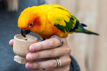 Papugarium Carmen © Marcin