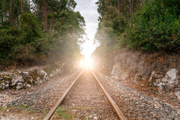 Luces de tren se acercan sobre las vias de tren en la montaña