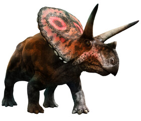 Torosaurus from the Cretaceous era 3D illustration	
