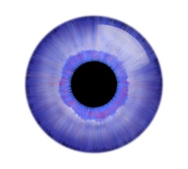 illustration of biology, beautiful blue eyes images, the pigmentation of the iris varies from light brown to black, depending on the concentration of melanin in the iris pigment epithelium, Close up 