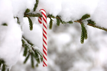 Christmas candy cane hanging on a fir tree branch covered with snow. Fairy winter forest, background for New Year celebration, cold weather