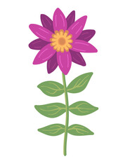 Colorful flower illustration. PNG with transparent background.